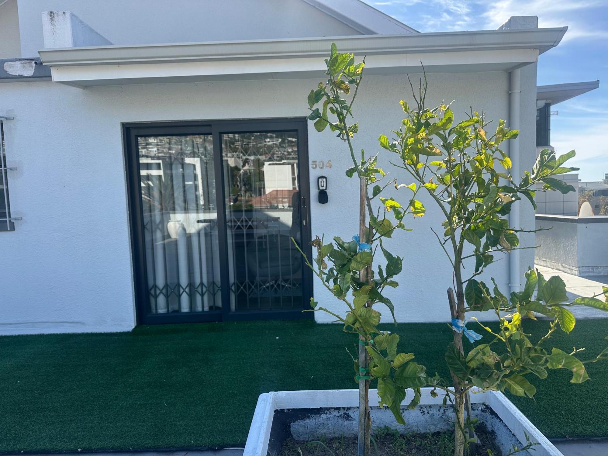 Camborne Holiday Apartments Kapstadt Exterior foto